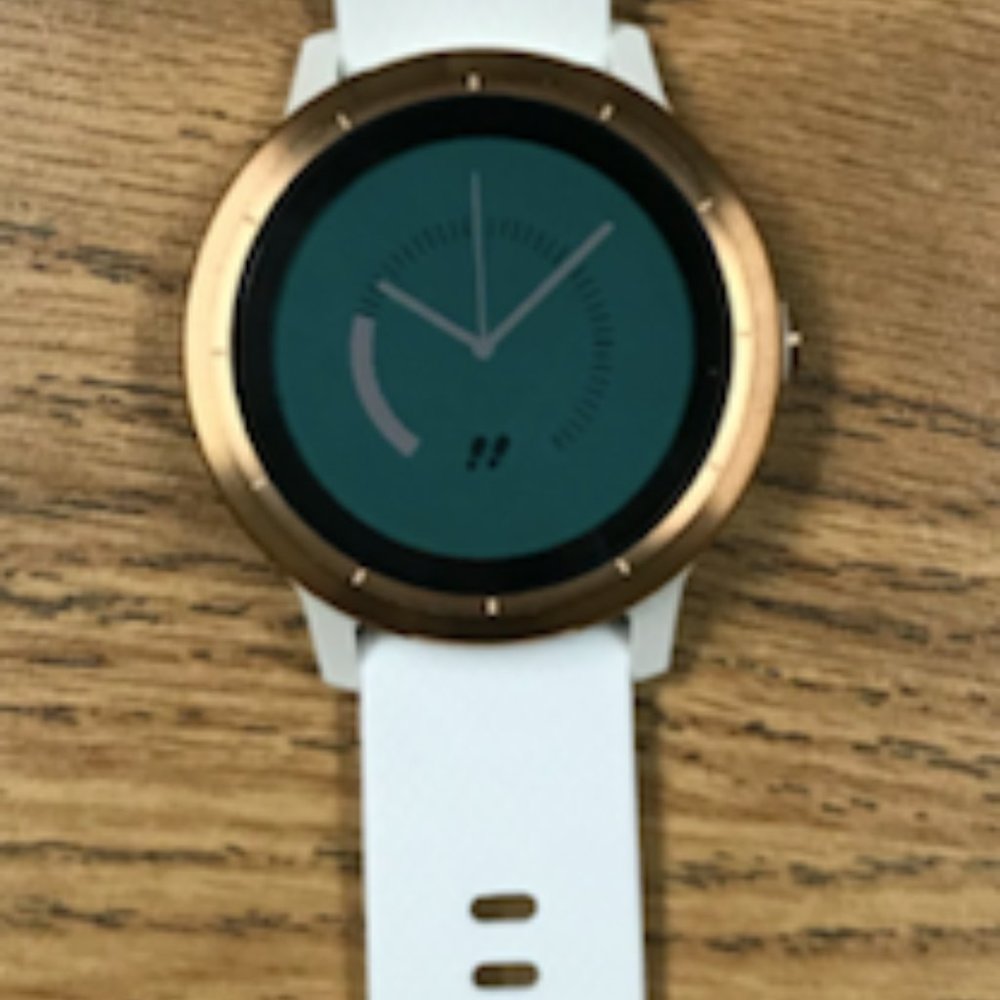 Garmin Vivoactive 3